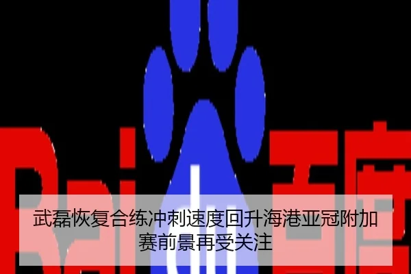 武磊恢复合练冲刺速度回升海港亚冠附加赛前景再受关注